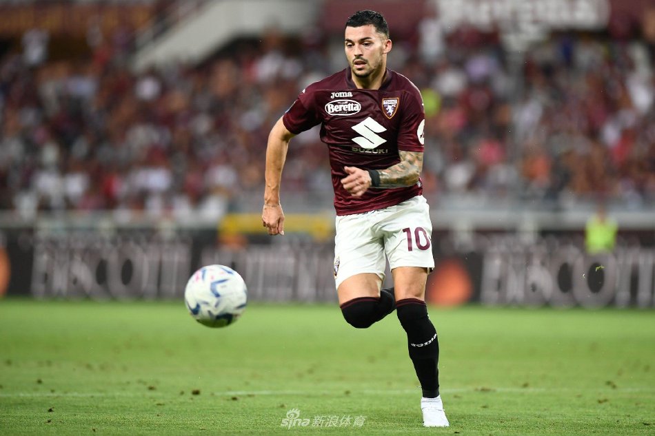 理支持计划 理支持计划