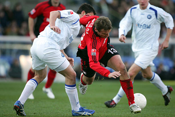 来引入新鲜 来引入新鲜